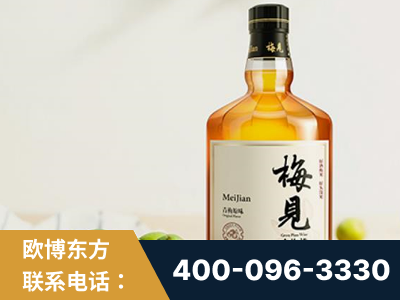 乌兰浩特-梅见青梅酒